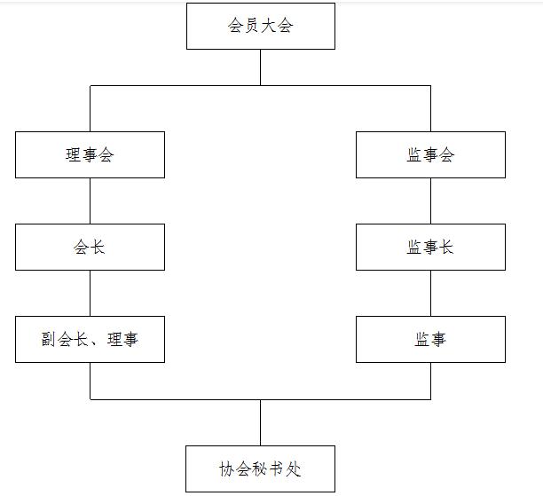 组织架构图-1